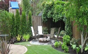 stunning backyards for cheap