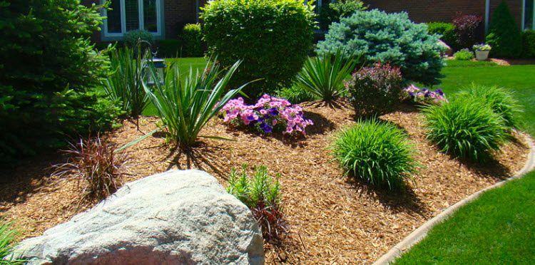 how to use mulch in the yard
